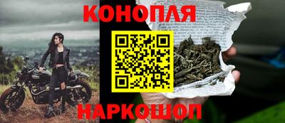 индика Кунгур