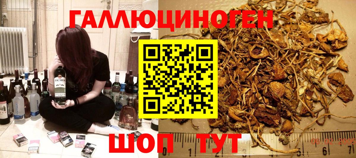 Галлюциногенные грибы GOLDEN TEACHER Жуковский