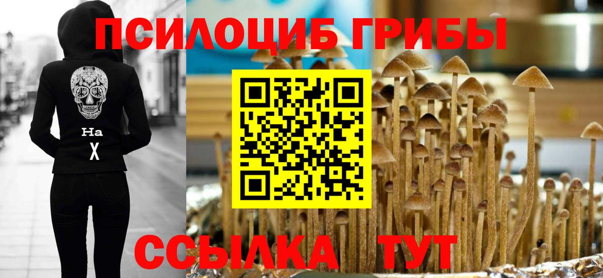 Жуковский  Галлюциногенные грибы прущие грибы  Вход с VPN 